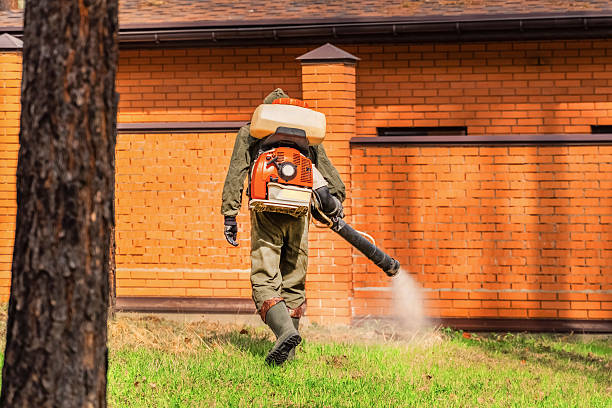 Trusted Rodent Control service in Marion, AR - Nex Pest Control